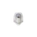Toto Closet Jongkok Ce07  Hvst Beige