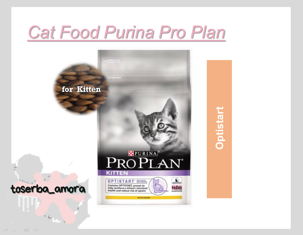 Pro plan kitten outlet harga