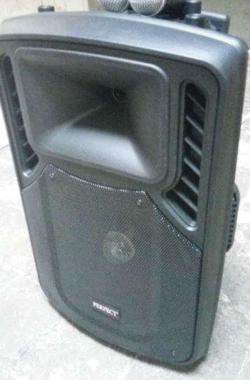 Speaker perfect sales 15 inch