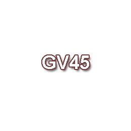 GV45