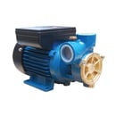 NLG Shallow Well Water Pump DB-125A