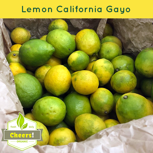 Lemon California Organic Gayo Cheers