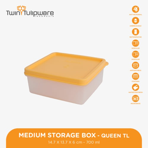 Medium Storage Box