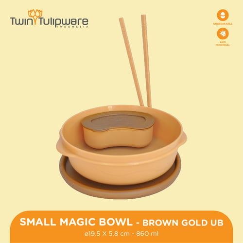 Small Magic Bowl Brown Gold UB