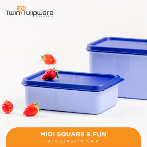 Midi Square & Fun