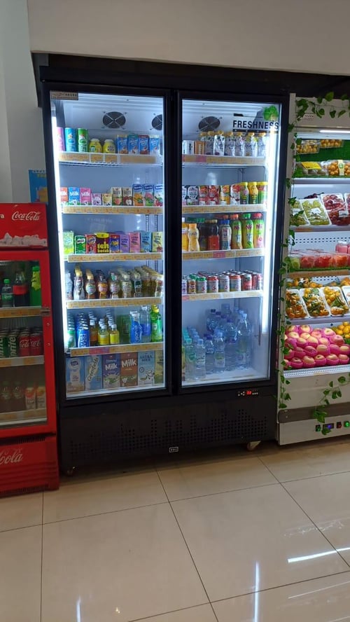 Showcase Chiller / Lemari Pendingin minuman 2 pintu 800L