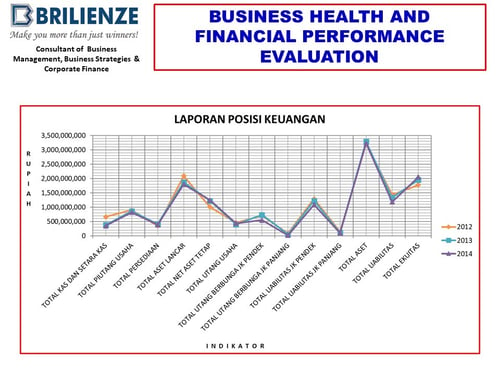 BUSINESS HEALTH AND FINANCIAL PERFORMANCE EVALUATION