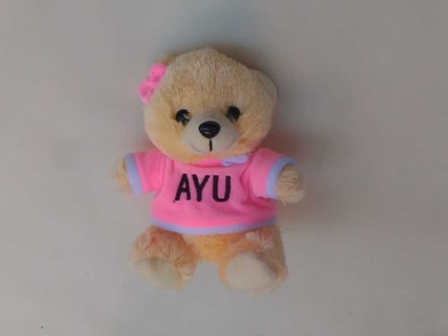 Boneka Teddy Bear Custom Nama || Boneka Binatang || Kado Ulang Tahun