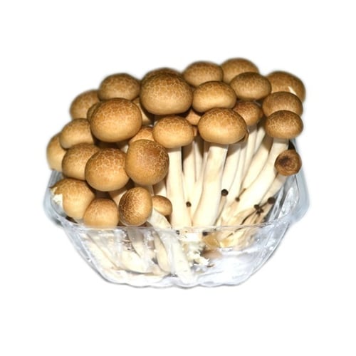 Pasar Komoditi Nasional Jual Jamur Shimeji Pack