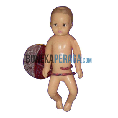 Boneka Manekin Phantom Alat Peraga Bayi Perawatan Tali Pusat [PPB-15-TP]