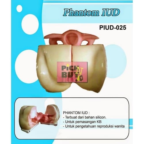 Boneka Manekin Phantom Alat Peraga IUD Spekulum Belahan PIUD-025
