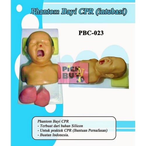Boneka Manekin Phantom Alat Peraga Bayi CPR, Intubasi PCB-02