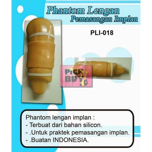 Boneka Manekin Phantom Alat Peraga Lengan Pemasangan Implan PLI-018