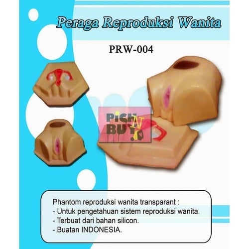 Boneka Manekin Phantom Alat Peraga Reproduksi (IUD) Wanita PRW - 004