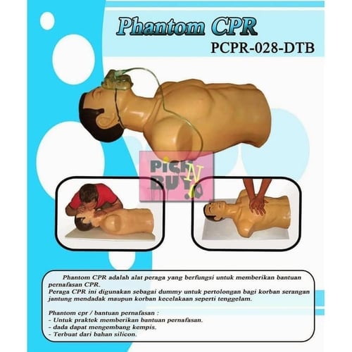 Boneka Manekin Phantom Alat Peraga CPR PCPR - 028 - DTB