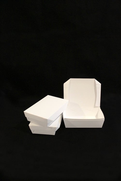 Paper Lunch Box Takeaway Size M 100pcs