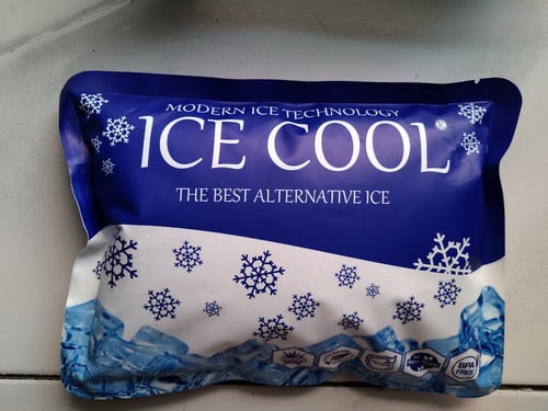 ICE COOL Besar 500 Gr