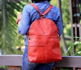Turtle Bag on Red