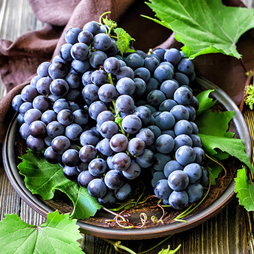 Anggur Hitam Premium Seedless Grapes Import
