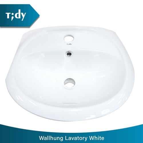 TIDY 003W Wallhung Lavatory White