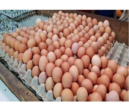 Telur Ayam Negeri per Kg