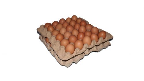 Telur AYAM Ras Payakumbuh 1 Lapik 30 Butir