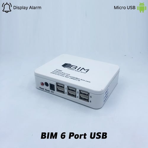 Display Security Alarm - BIM 6 Port USB