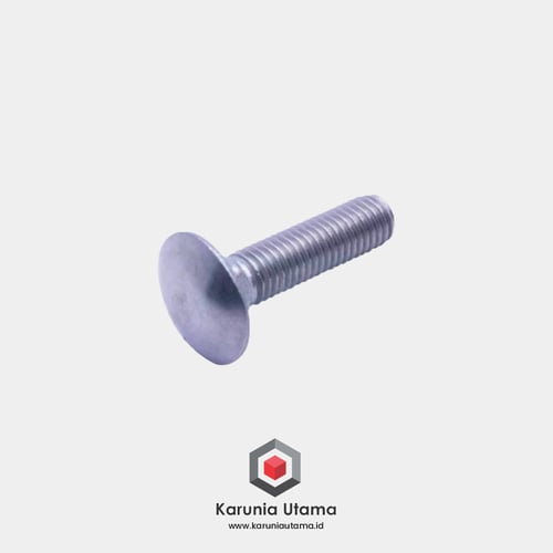 SUS 304 Baut Payung (Carriage Bolt) M8 x 20 ( Stainless )