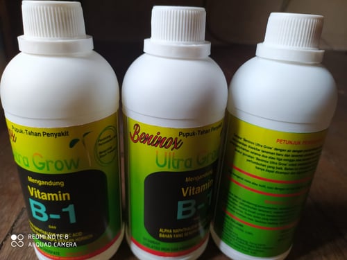 PUPUK VIT B1 VITAMIN - Vitamin B1 Tanaman Beninox Ultra Grow 500ml