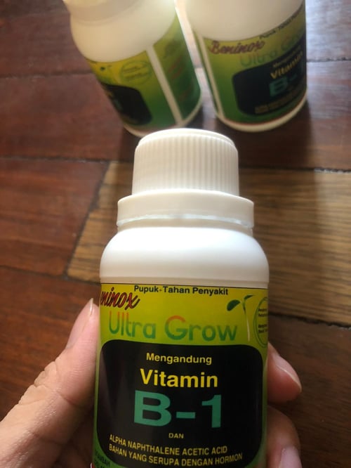 PUPUK VIT B1 VITAMIN - Vitamin B1 Tanaman Tahan Penyakit Beninox 100ml