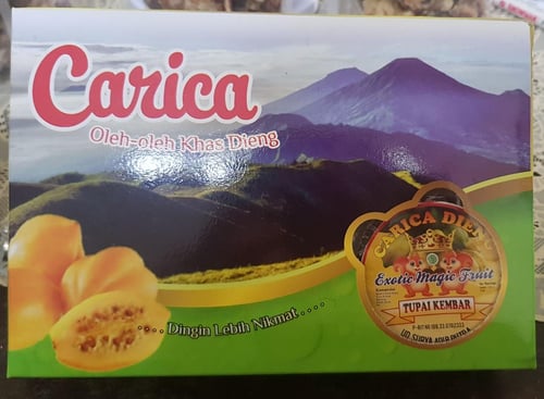 Carica Dieng Isi 6
