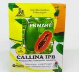 Bibit Pepaya Callina IPB California