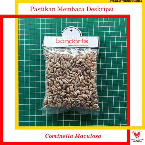 Cominella Maculosa 100gr Bondarts Cangkang Kerang Prakarya