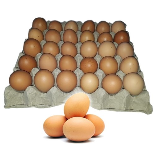 Telur Ayam Negeri Curah
