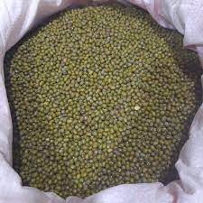 Kacang Hijau (100 kg)