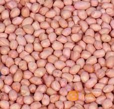 Kacang Tanah (100 kg)