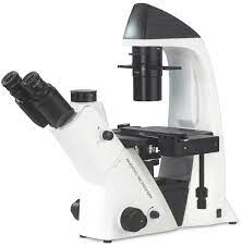 Mikroskop Trinokuler Inverted