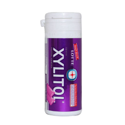 Lotte Chewing Gum Sugar Free Xylitol Blueberry Mint 27.5G