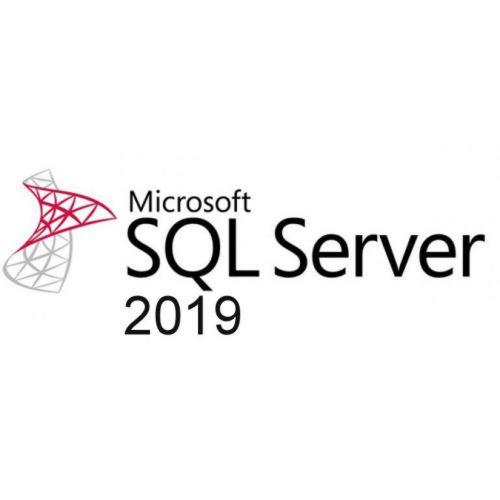 MICROSOFT SQL Server 2019 User CAL License 359-06866
