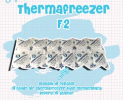 Ice gel pack Thermafreezer Tfr 2
