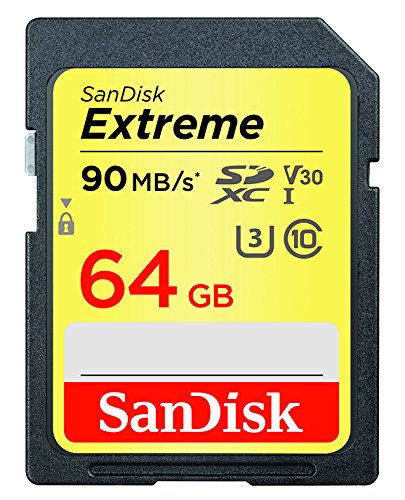 SanDisk Extreme 64GB SDXC UHS-I Card SDSDXVE-064G-GNCIN