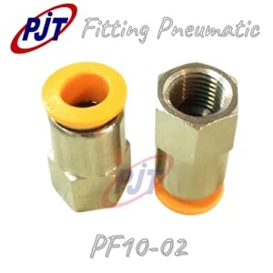 Fitting Pneumatic Lurus Pf 10-02