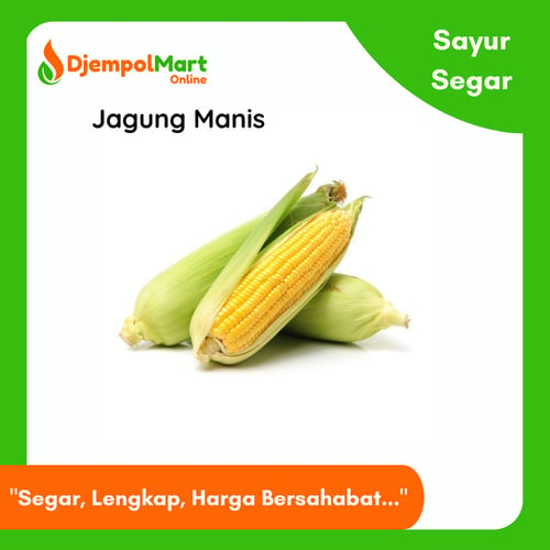 Jagung Manis - Sayur Segar - Jagung bijian