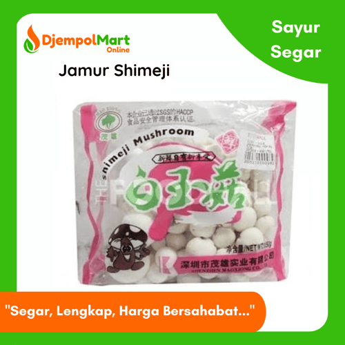 Jamur Shimeji - 1 Pack