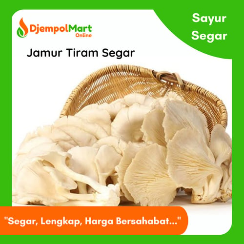 Jamur Tiram Segar 1 kg