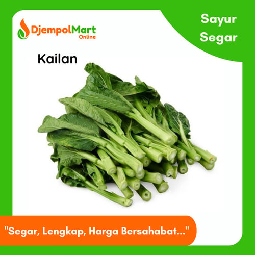 Kailan Segar 1 kg