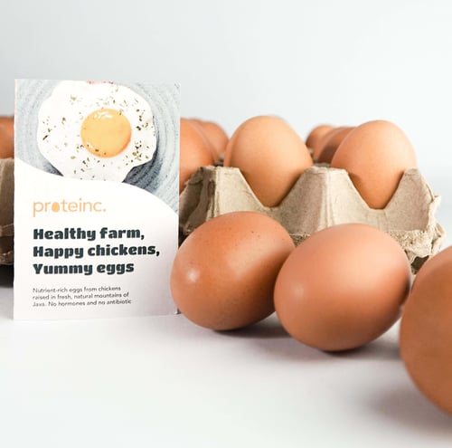 Proteinc. For Resto fresh egg telur ayam premium rendah kolesterol