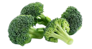 Brokoli Organik  Premium (10kg)