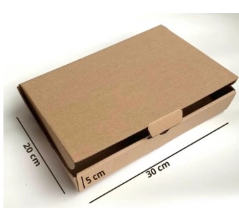 Kardus Karton Packaging Box 20 x 10 x 5 cm - Die Cut