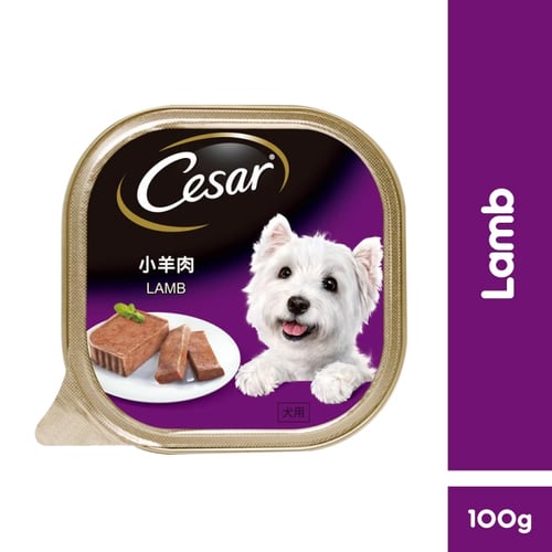 CESAR  Makanan Anjing Basah Rasa Lamb 100g - Isi 1